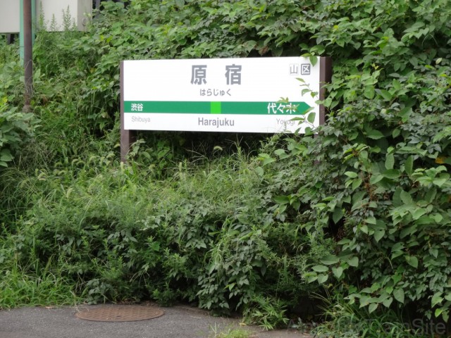 harajuku-sign3